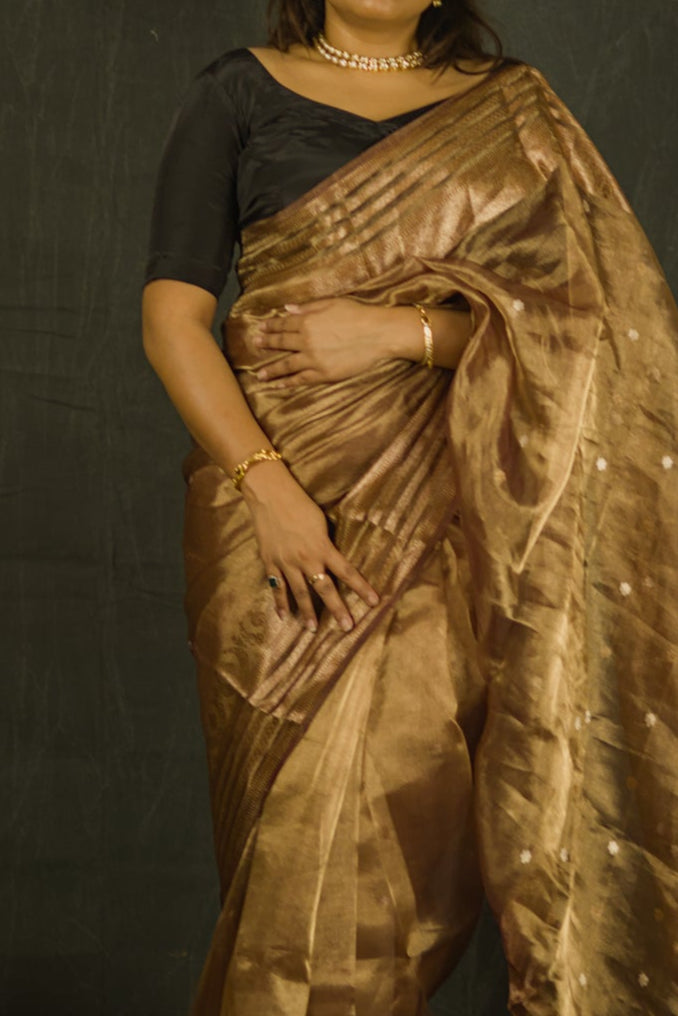 Kaapi | Pure Tissue Silk Saree